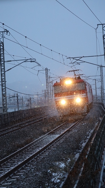 青森駅は還暦を迎えました。そして、大改装中です。青い森鉄道と雪景色、雪の中を激走する貨物列車とモーリーくん_d0181492_23473240.jpg