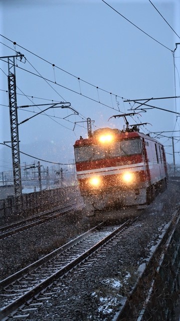 青森駅は還暦を迎えました。そして、大改装中です。青い森鉄道と雪景色、雪の中を激走する貨物列車とモーリーくん_d0181492_23474108.jpg