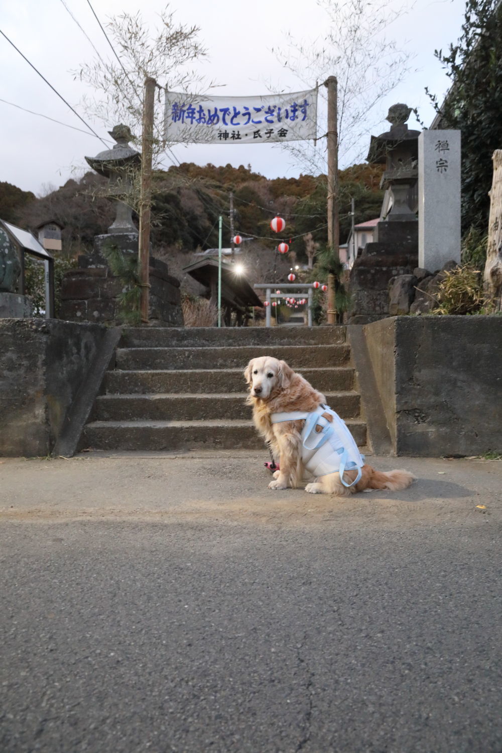 初めての下痢_b0275998_12060582.jpg
