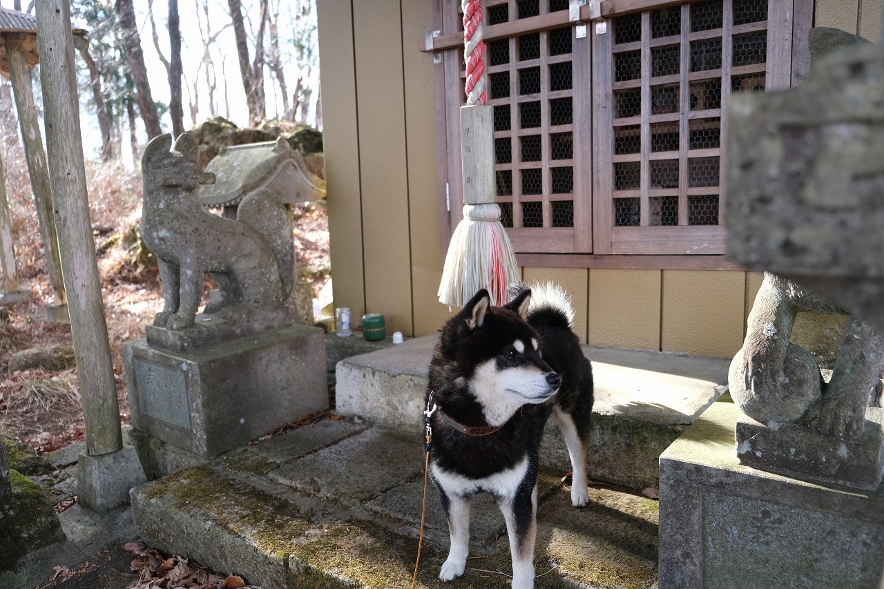 2020年 山始め_b0050305_21385411.jpg