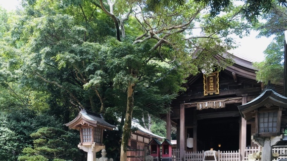 初 詣_b0325317_14435255.jpeg
