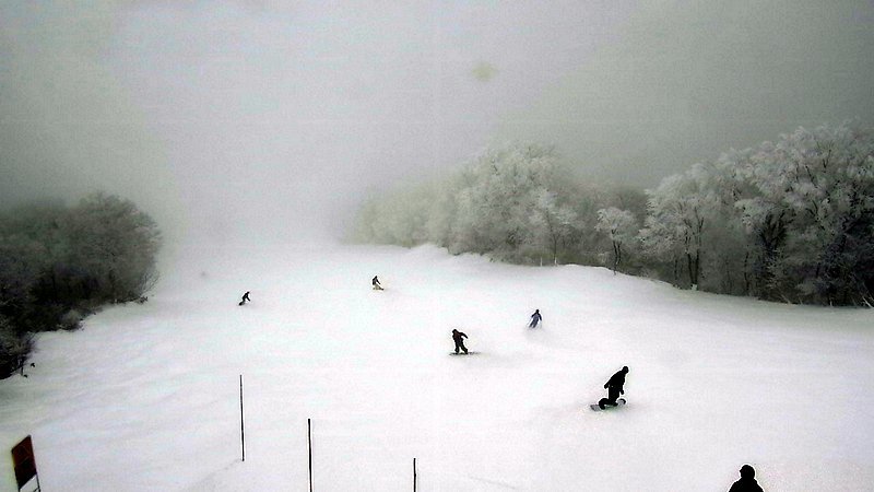 野沢 温泉 スキー 場