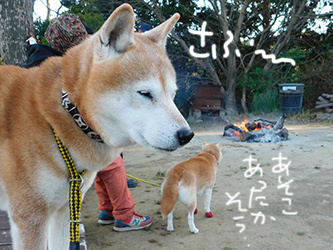 2020年子年明けましておめでとうございます(^^)_b0057675_11092997.jpg