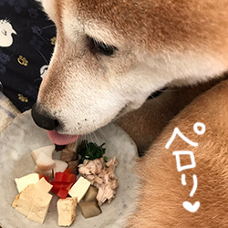 2020年子年明けましておめでとうございます(^^)_b0057675_11502953.jpg