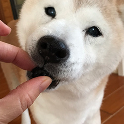 2020年子年明けましておめでとうございます(^^)_b0057675_11593944.jpg