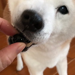 2020年子年明けましておめでとうございます(^^)_b0057675_11594321.jpg