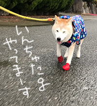 2020年子年明けましておめでとうございます(^^)_b0057675_12102955.jpg