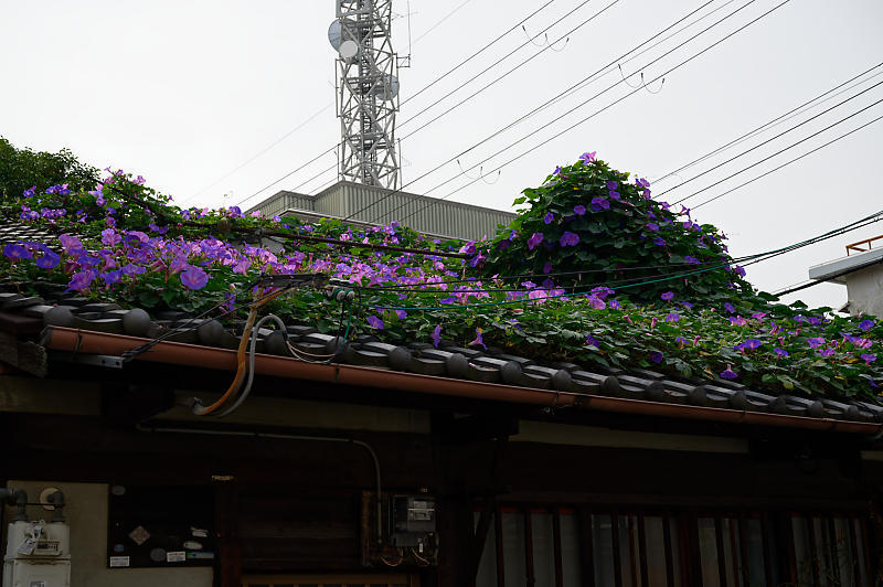 町角寸景_f0032011_17402574.jpg