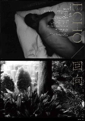 野村佐紀子氏 写真展「GO WEST」_b0187229_14525939.jpg