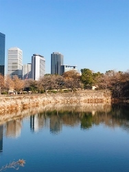 今年最後のレッスン_a0059035_20060534.jpg