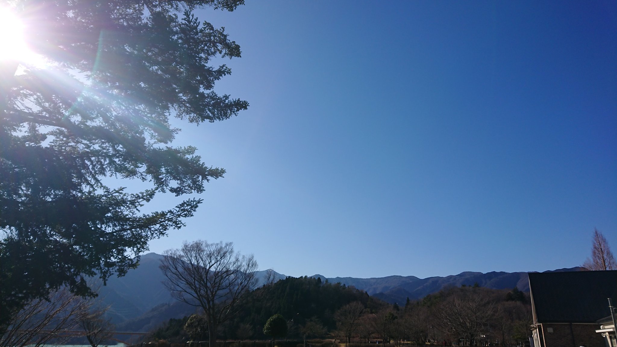 あけました_e0185939_15350414.jpg