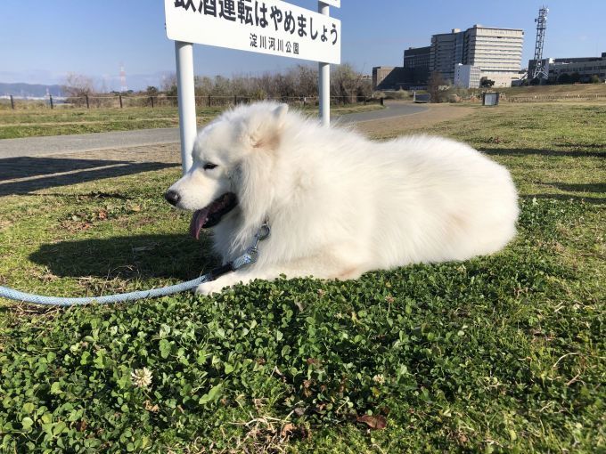 2019年から2020年へ_f0128542_01301881.jpg