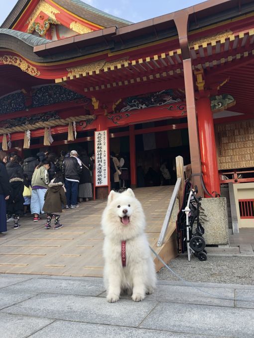 2019年から2020年へ_f0128542_01380639.jpg