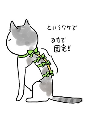 むふ子さん、腹掛け進化形_b0019674_23323966.jpg
