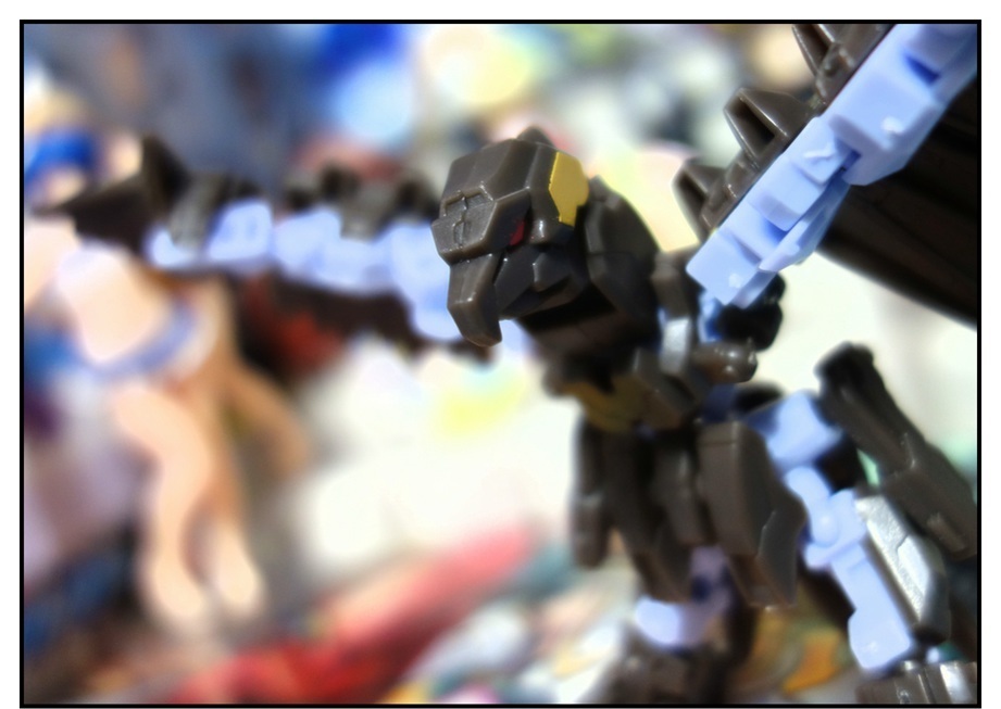 アニマギア1弾で遊ぶ!!_f0205396_19244328.jpg