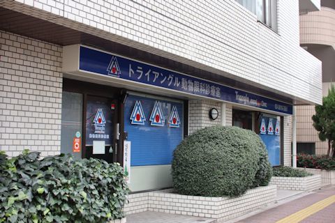 スモーキーの病院の場所チェックに&昨日のお散歩♪_c0090198_18384037.jpg