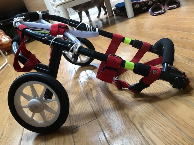 二輪の車椅子を使っていただける方・・_f0242002_18121771.jpg