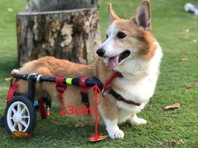 二輪の車椅子を使っていただける方・・_f0242002_18151489.jpg