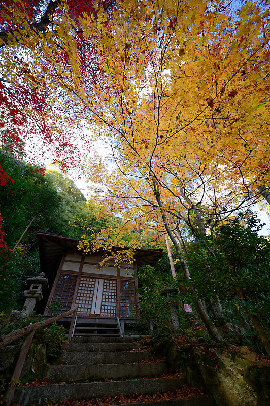 2019京都の紅葉・嵯峨野　護法堂弁財天_f0032011_08473121.jpg