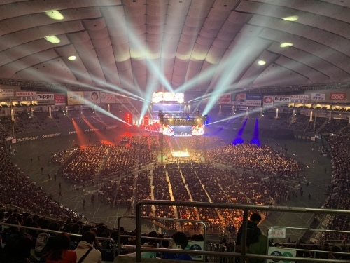 WRESTLE KINGDOM 14 in 東京ドーム(1日目)_b0000829_07581498.jpeg