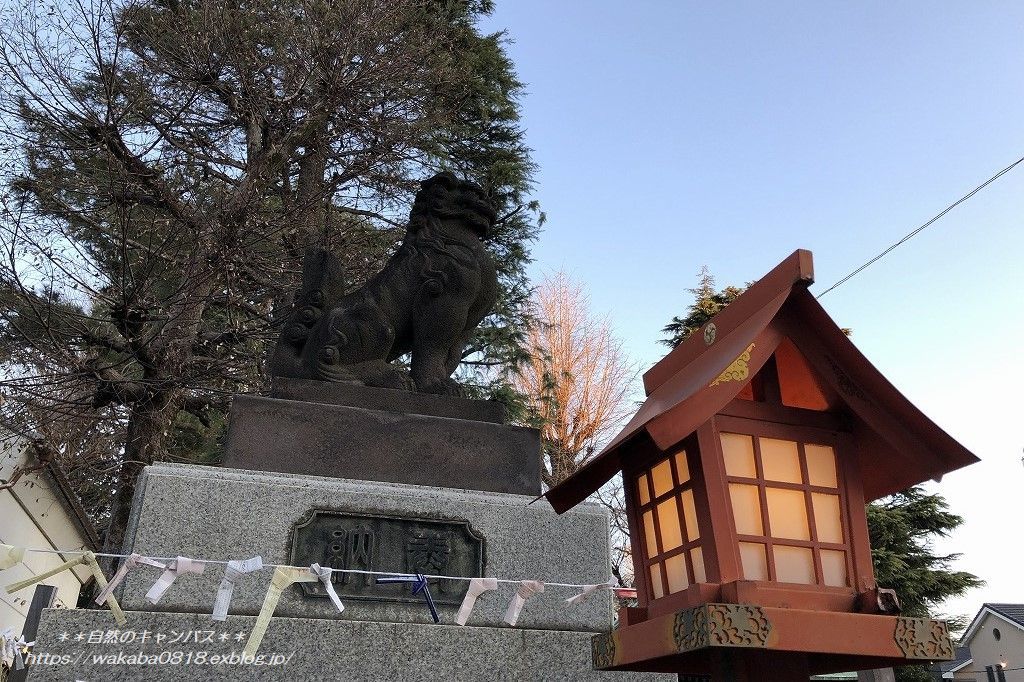   地元草加神社も三が日が過ぎた今日の様子・・・_e0052135_11375913.jpg