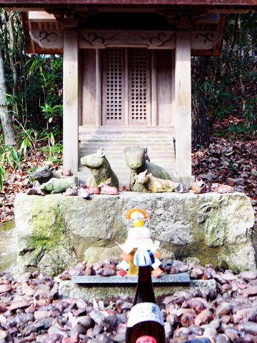 初詣!~そして、鳥_b0145843_14481943.jpg