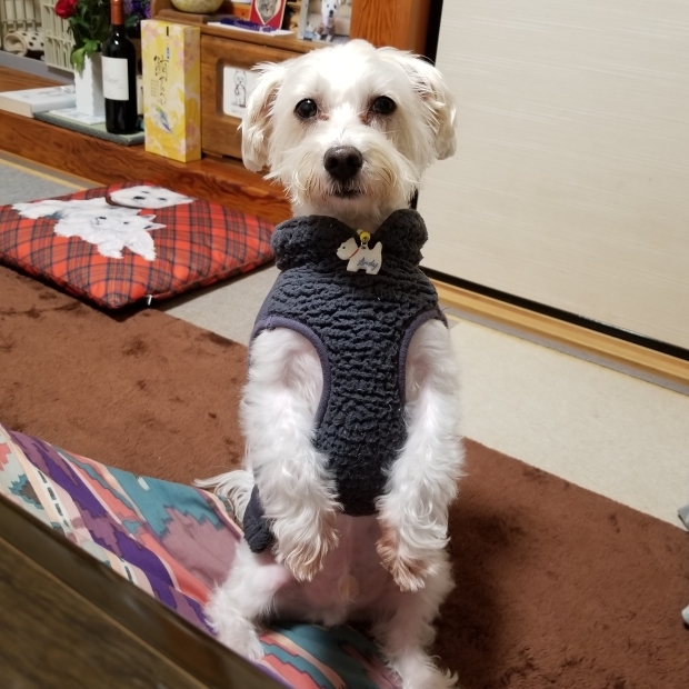 粘り勝ち_f0034444_15122080.jpg