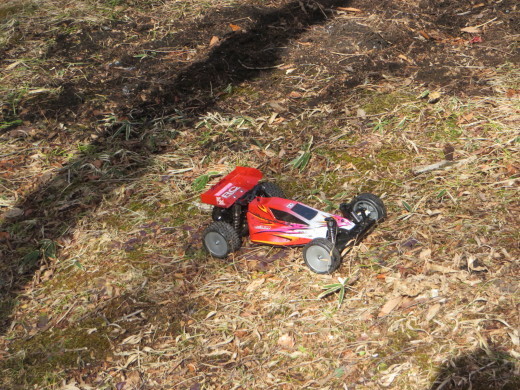 DT-02 サンドバイパー　シェイクダウン_b0174260_13222499.jpg