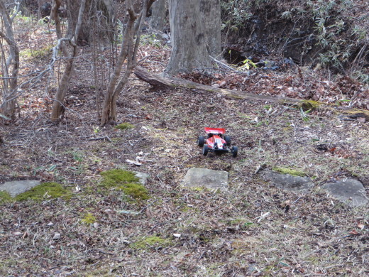 DT-02 サンドバイパー　シェイクダウン_b0174260_13272598.jpg