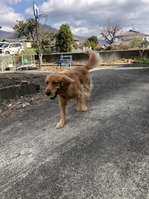 日常が戻って_a0394574_16171164.jpeg