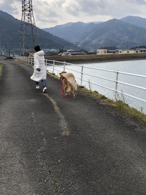 日常が戻って_a0394574_16301173.jpeg