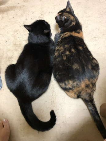 見直してみるとオモシロい写真_e0355177_16075844.jpg