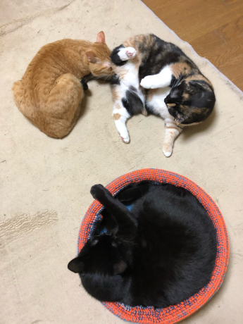 見直してみるとオモシロい写真_e0355177_16075983.jpg