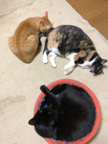 見直してみるとオモシロい写真_e0355177_16115196.jpg