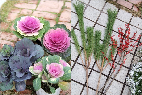 ◆松飾りの寄せ植え作り_e0154682_23013663.jpg