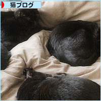 あと2匹_a0389088_17124823.jpg