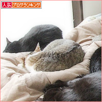 あと2匹_a0389088_17124865.jpg