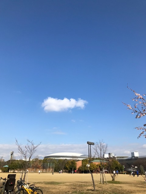 長居公園の桜_f0204295_15231352.jpg