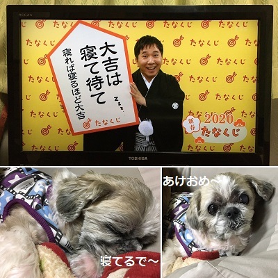 2020年ブログ初め~♪_f0372998_21023317.jpg