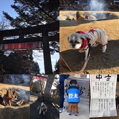2020年ブログ初め~♪_f0372998_21031805.jpg