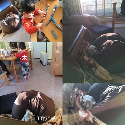 2020年ブログ初め~♪_f0372998_21035924.jpg