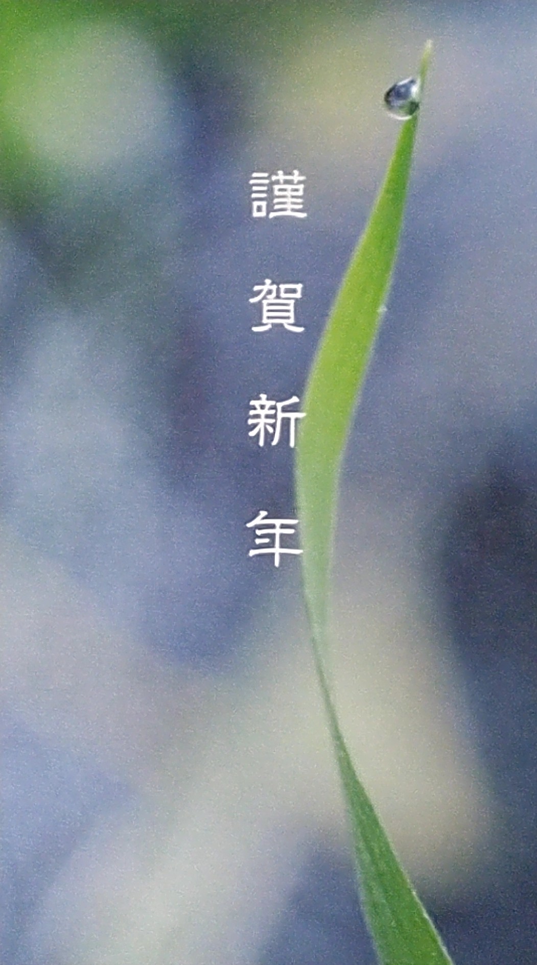 今さらながら_f0155808_10465653.jpg
