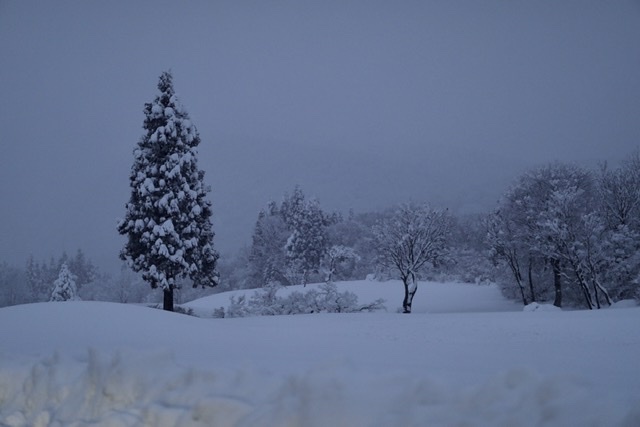 まゝに/1月の雑記 ちょっと雪国へ_d0342426_16245909.jpeg