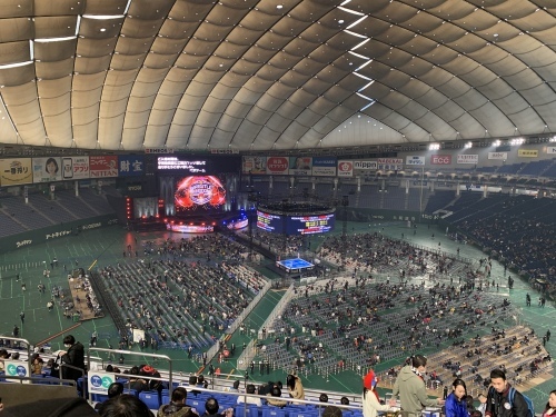 WRESTLE KINGDOM 14 in 東京ドーム(2日目)_b0000829_07285926.jpeg