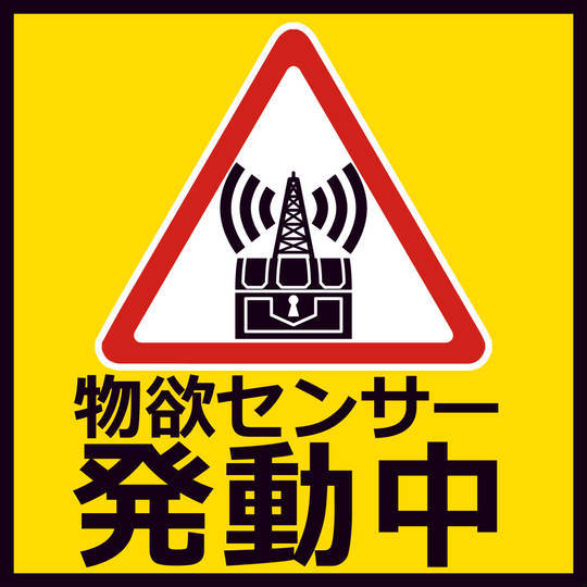 サトル邸 反撃1_c0141933_19593098.jpg