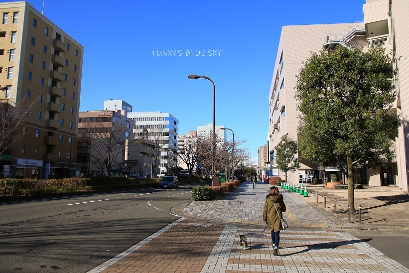 年末の箱入り娘?のわけ・・_c0145250_08341734.jpg