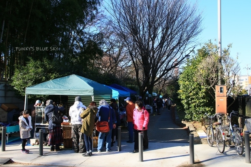 年末の箱入り娘?のわけ・・_c0145250_08344495.jpg