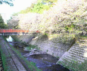 片付け、掃除デー_a0394451_13251352.jpg