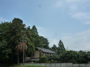 足場がバレました。_a0394451_20291237.jpg