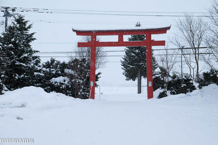 今年も初詣は美瑛神社！～1月の美瑛_d0340565_20220395.jpg